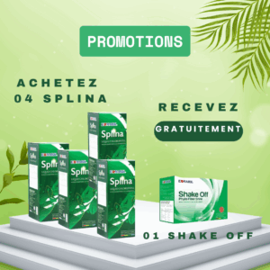 04 Shake Off pour 01 splina gratuit